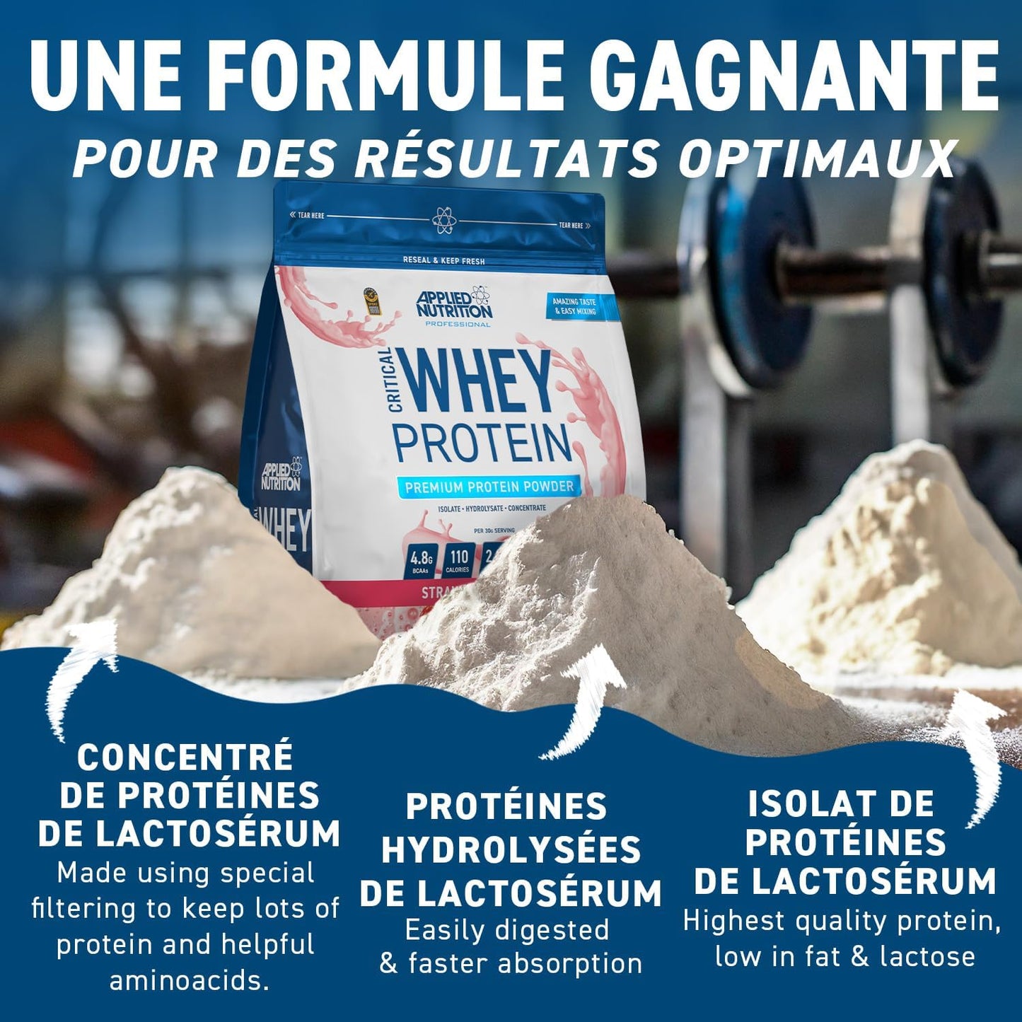 Applied Nutrition - Whey Protein + BCAA et Glutamine